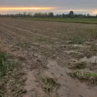 زمین کشاورزی 1500متر