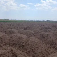 خاک حاصل خیز جهان آباد
