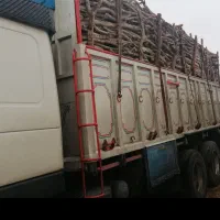 خرید چوب پسته