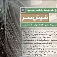 سونامی شپ ش و رشک