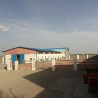 آموزش سوارکاری اسب سواری در تاکستان