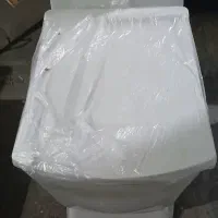 فرنگی گلوریا