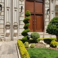 خدمات باغبانی در تمام نقاط تهران ازصفر تاصد