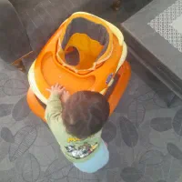 روروک|کالسکه و لوازم جانبی|ماهدشت, |دیوار