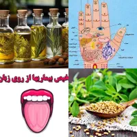 دنیای اسرارآمیز علم و درآمدزایی درطب سنتی