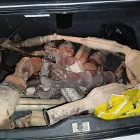 خریدوفروش انواع جایگزین وکاتالیزوربنزینی وگازوئیلی