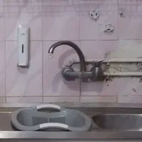 شیر به همراه سینگ ظرفشویی