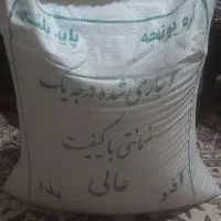 بزر یونجه|خدمات باغبانی و درختکاری|بیجار, |دیوار
