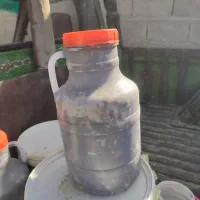 کپسول ایران گاز