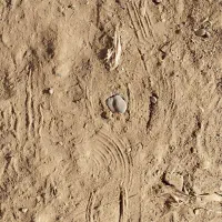 معاوضه-زمین-با-کامیون