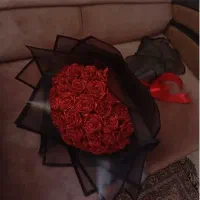 گل روبانی ، گلی که هرگز پژمرده نمیشود