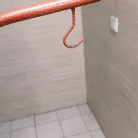 پایه قفس پرنده|لوازم جانبی حیوانات|قم, پردیسان|دیوار