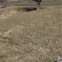 فروش زمین کشاورزی برای ویلا