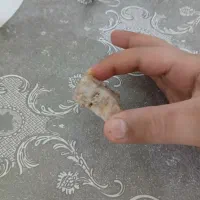 سنگ قیمتی