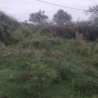 زمین کاربری مسکونی کشاورزی|فروش زمین و ملک کلنگی|تالش, طولارود|دیوار