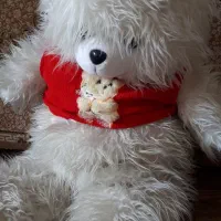 عروسک خرس بزرگ و چند عدد عروسک