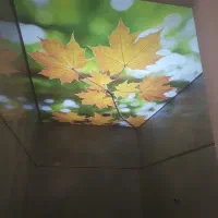 آسمان کشسان و مجازی