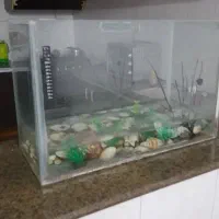 اکواریم ارزان