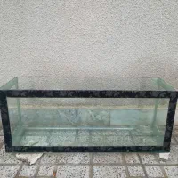 اکواریوم ماهی زینتی