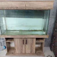 اکواریوم شیشه خم