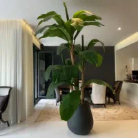۲۰۰متر ۲خواب مستر / مجرد+پت / ویو ابدی / مرجان|اجارهٔ آپارتمان|تهران,  امام زاده قاسم (نیاوران)|دیوار