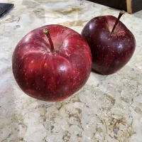 سیب درجه دو