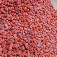 زرشک تازه
