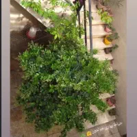 فروش فوری ۶۵مترخونه کلنگی بامغازه|فروش خانه و ویلا|تهران, فلاح|دیوار