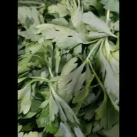 سبزی آماده