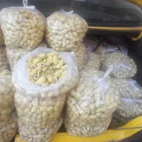 فروش بادام زمینی تازه درجه ۱