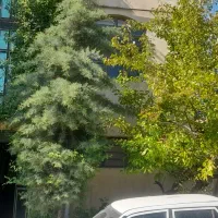 فروش-زمین-خانه-باغ
