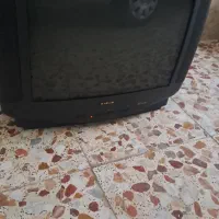 تلویزیون