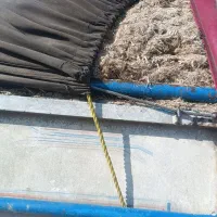 کاه نیشکر (باگاس)