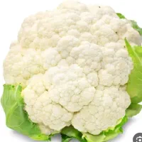 گل کلم درجه یک