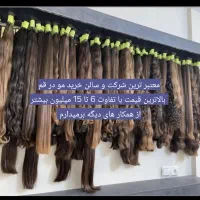 فروش مو 61 سانت طبیعی کد ۴۰