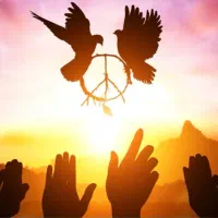 موسسه حقوقی