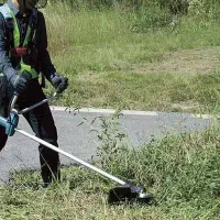 کلیه امور باغبانی هرس.علفزنی.سم پاشی کاشت نهال|خدمات باغبانی و درختکاری|هشتگرد, شهرک ولیعصر (مصلی)|دیوار