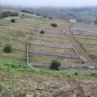 ۴۰۰متر زمین کلاردشت جنگلی داخل شهرک با نگهبانی|فروش زمین و ملک کلنگی|کلاردشت, |دیوار