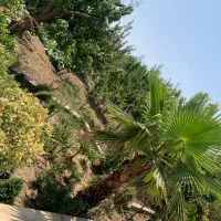 باغ ویلا استخر آب گرم|اجارهٔ کوتاه‌مدت ویلا و باغ|شهریار, اسکمان|دیوار