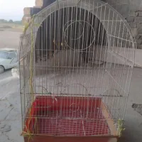 خانه پرنده طوطی جادار و محکم
