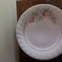 ظروف پذیرایی