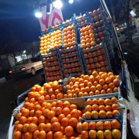 تامسون مجلسی درجه 1