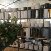 گلدان|گل و گیاه طبیعی|شیراز, شهرک گلستان|دیوار