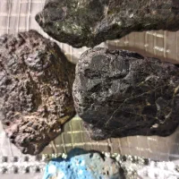 انواع اجرم اسمانی درخدمت‌دوستان هستیم