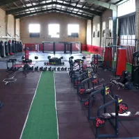 مربی mma ، چربی سوزی و کاهش وزن آقایان