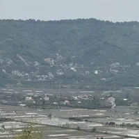 ۲۰۰۰ متر زمین باغ میوه ویودار در بابلکنار|فروش دفتر صنعتی، کشاورزی، تجاری|بابل, |دیوار