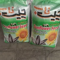 تخمه افتابگردان