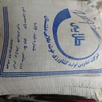 بذر گندم مهرگان