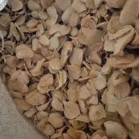موسیر خشک