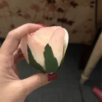 سرگل مصنوعی نو زیر قیمت|گل مصنوعی|مشهد, دانشجو|دیوار